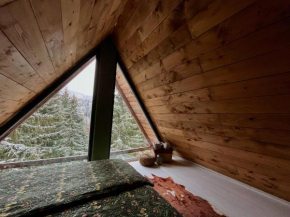 Cabin Apartman, Kopaonik